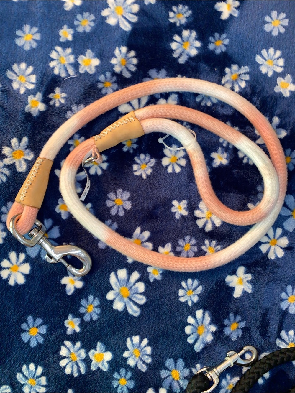 2 Dog leashes